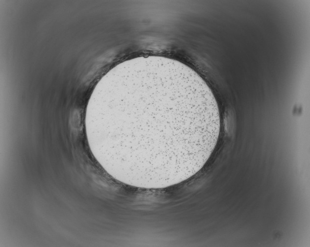 X0000110711347200907101234