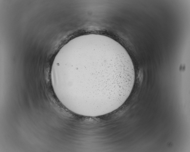 X0000110711348200907101234