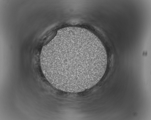 X0000110711349200907101234