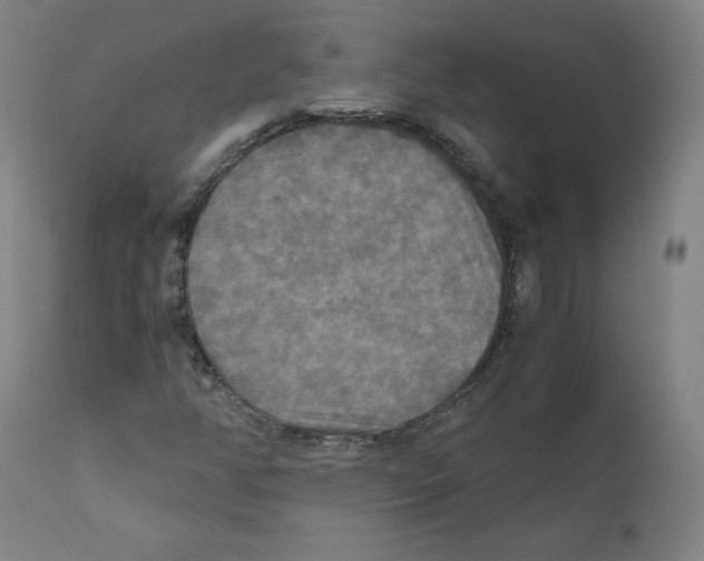 X0000110711350200907101234