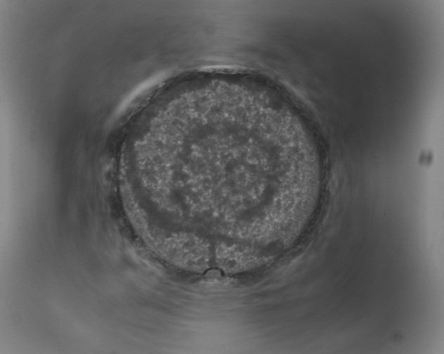 X0000110711351200907101234