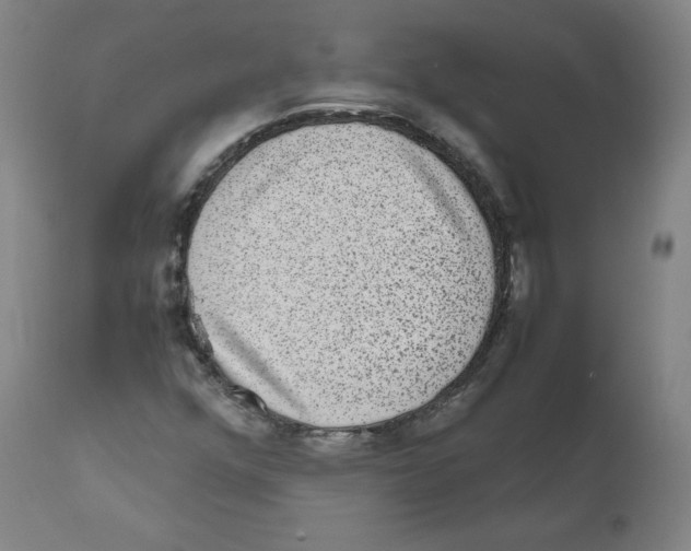 X0000110711352200907101234