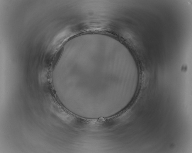 X0000110711353200907101234