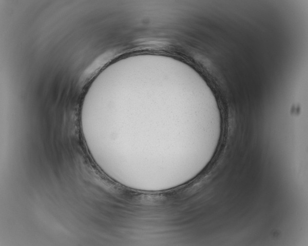 X0000110711354200907101234