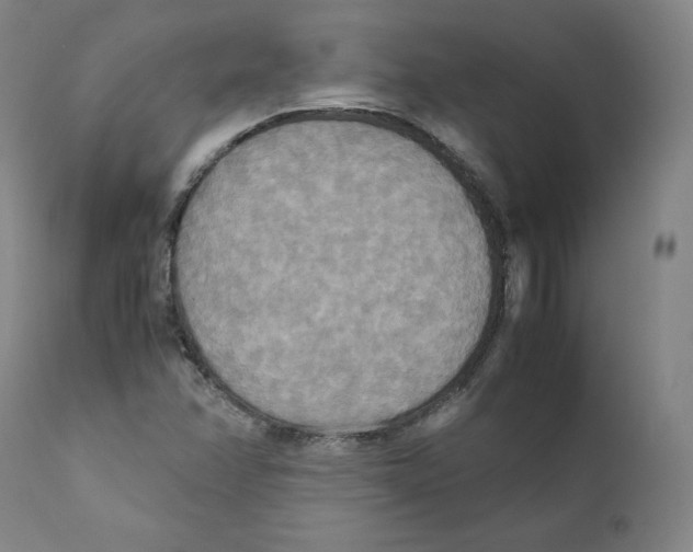 X0000110711358200907101234