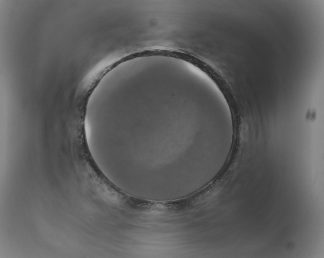 X0000110711359200907101234