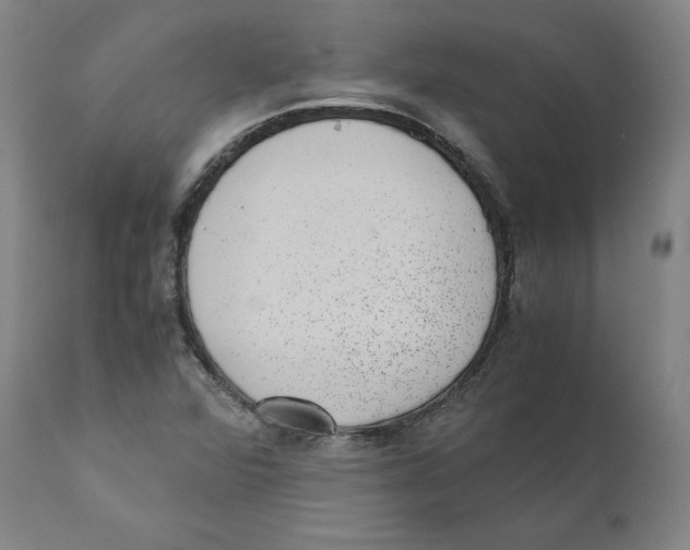 X0000110711360200907101234