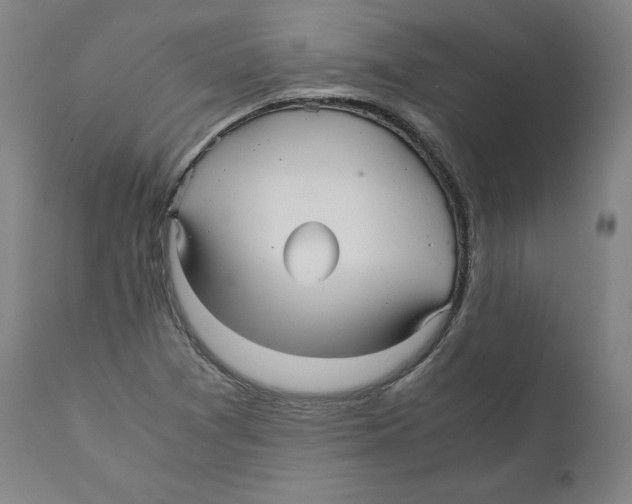 X0000110711361200907101234