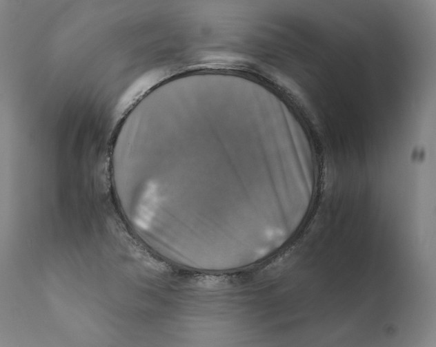 X0000110711362200907101234