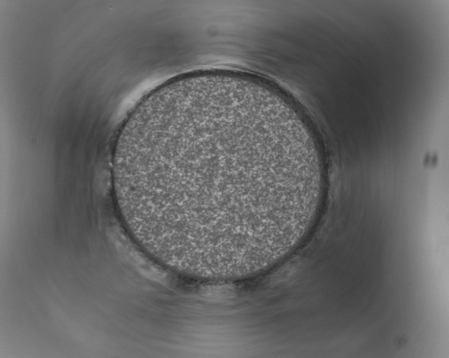 X0000110711363200907101234