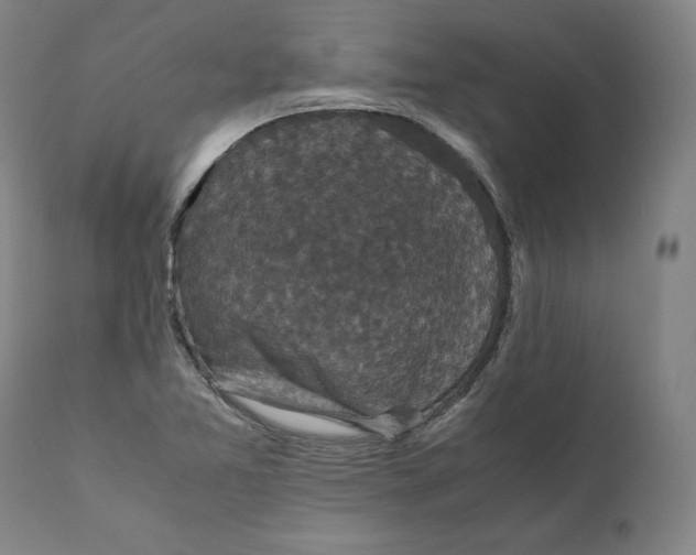 X0000110711365200907101234