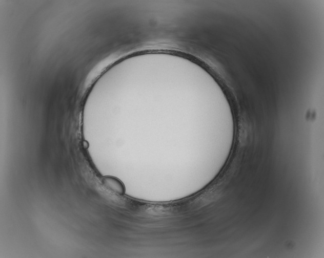 X0000110711366200907101234