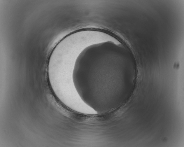 X0000110711367200907101234