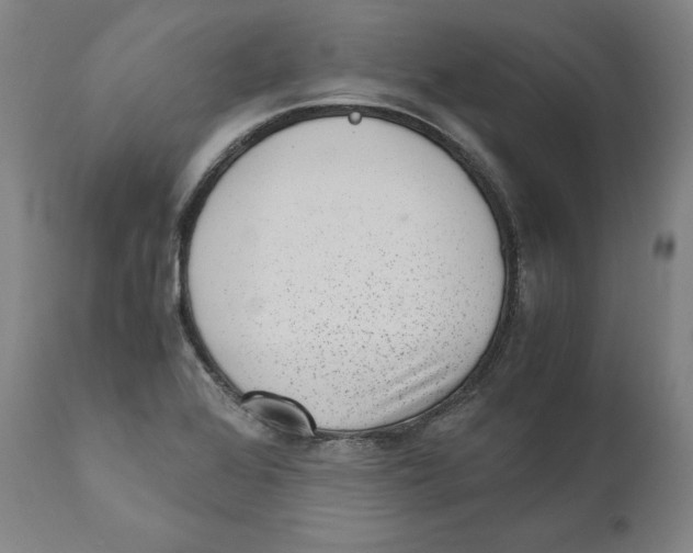 X0000110711368200907101234