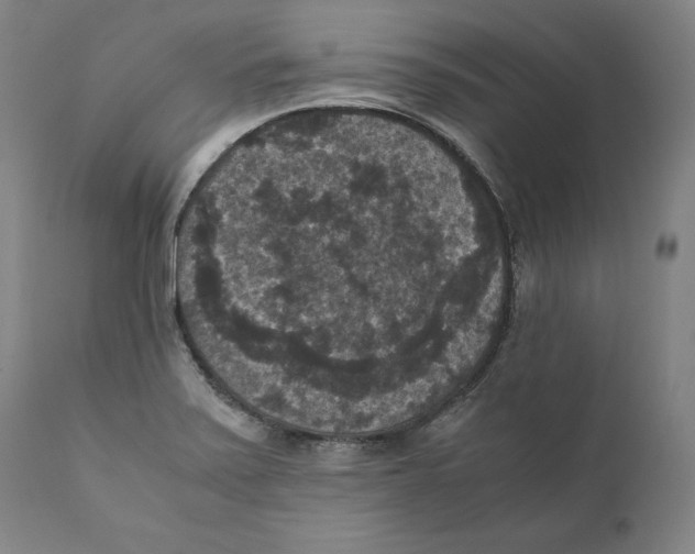 X0000110711371200907101234