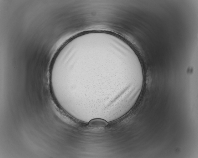 X0000110711372200907101234