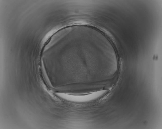 X0000110711373200907101234