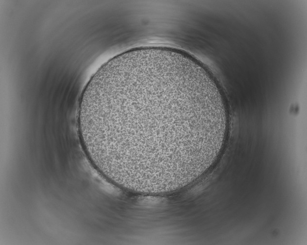 X0000110711374200907101234