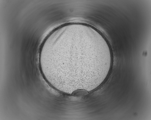 X0000110711376200907101234