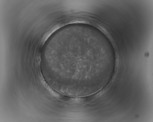 X0000110711377200907101234