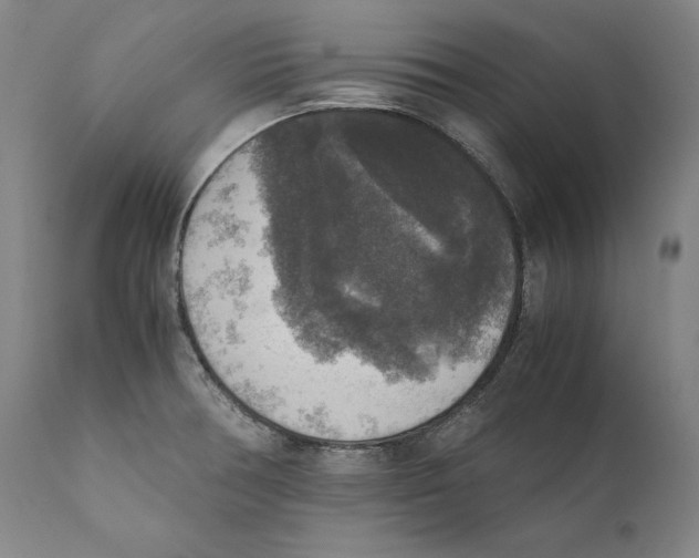 X0000110711378200907101234