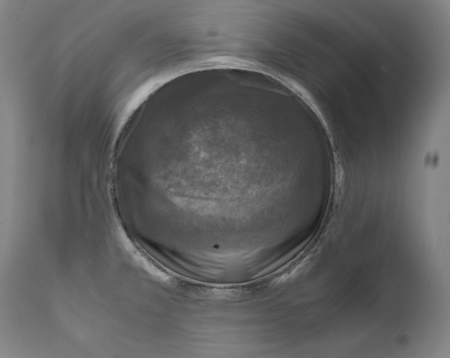 X0000110711381200907101234