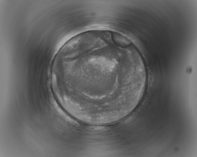 X0000110711382200907101234