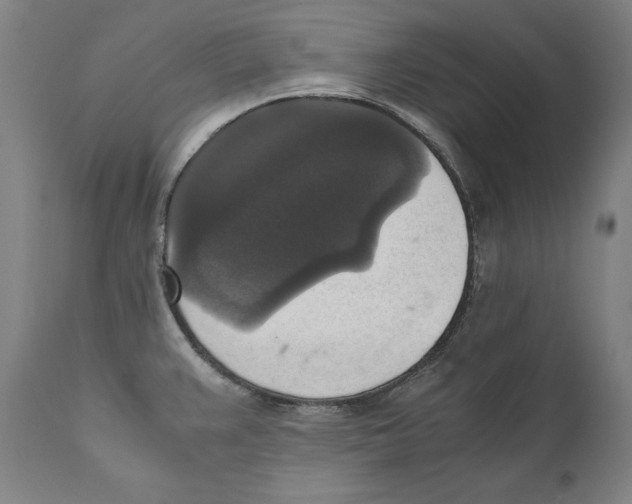 X0000110711383200907101234