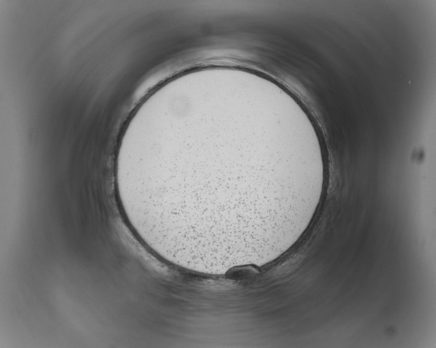 X0000110711384200907101234