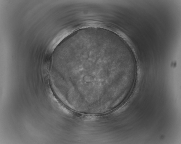 X0000110711385200907101234