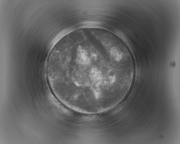 X0000110711386200907101234