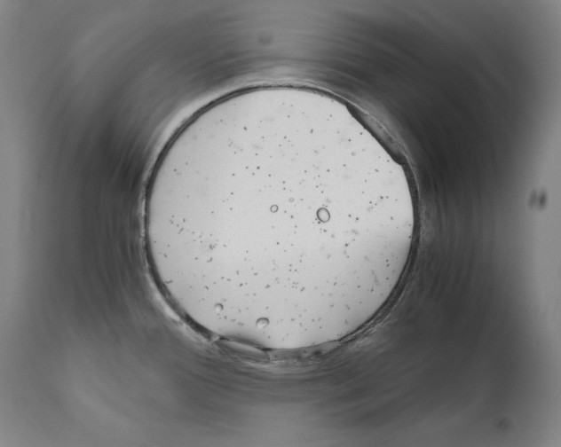 X0000110711388200907101234