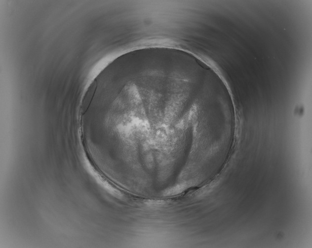 X0000110711389200907101234