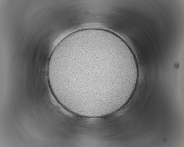 X0000110711390200907101234