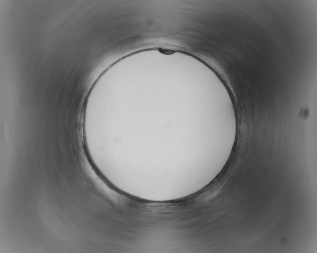 X0000110711391200907101234