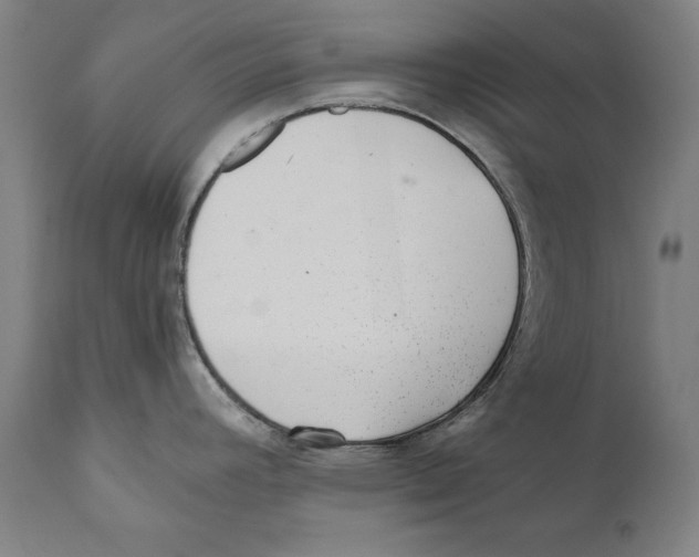 X0000110711392200907101233