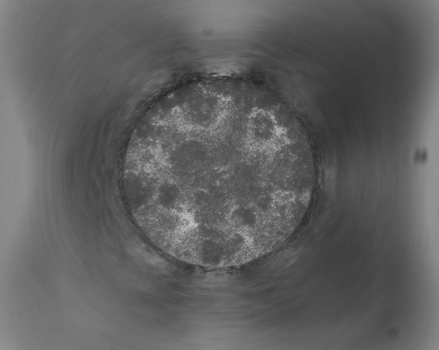 X0000110711393200907101233