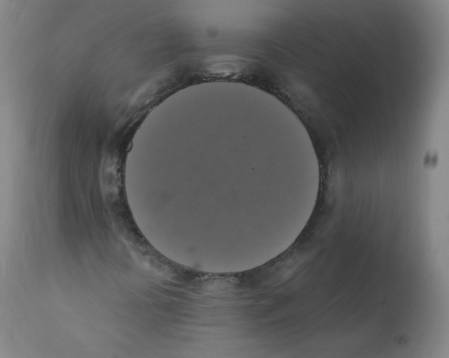 X0000110711394200907101233