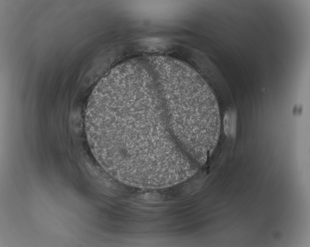 X0000110711395200907101233