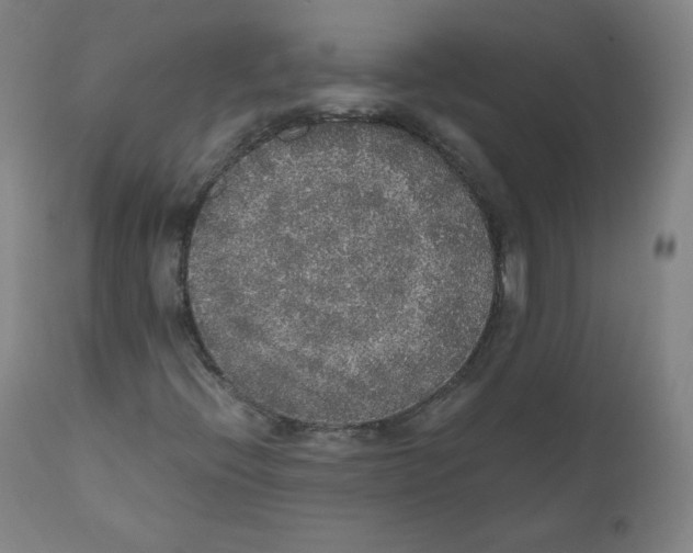 X0000110711396200907101233