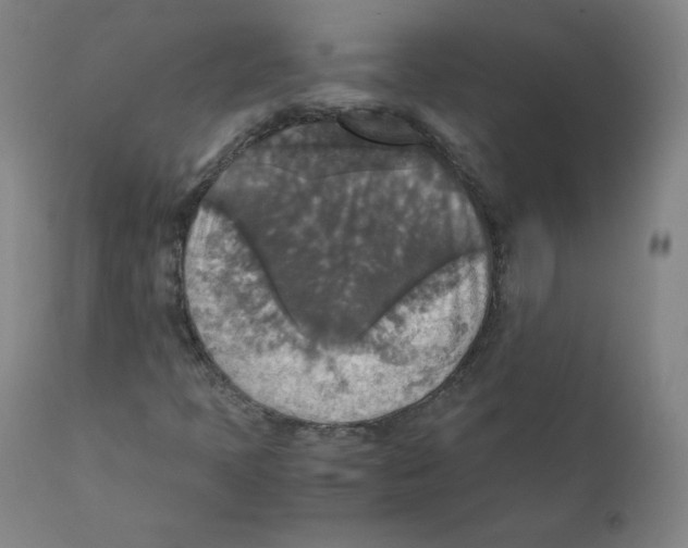 X0000110711397200907101233