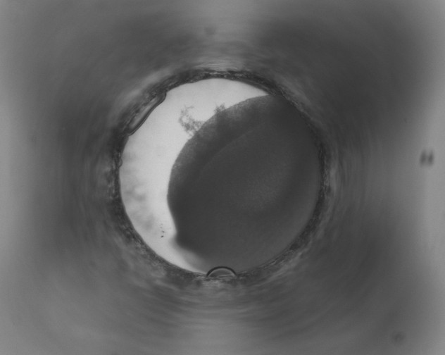 X0000110711398200907101233