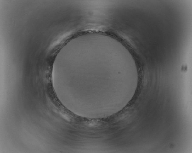 X0000110711399200907101233