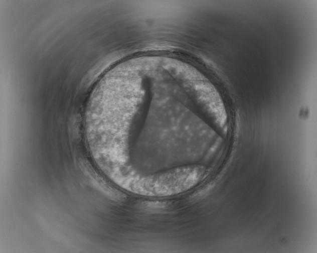 X0000110711401200907101233