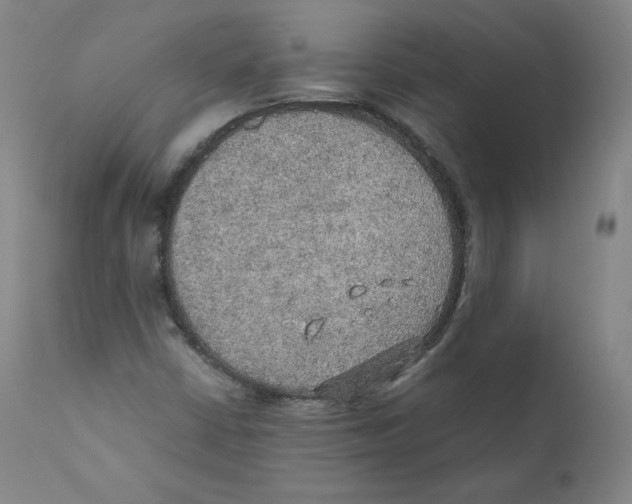 X0000110711402200907101233