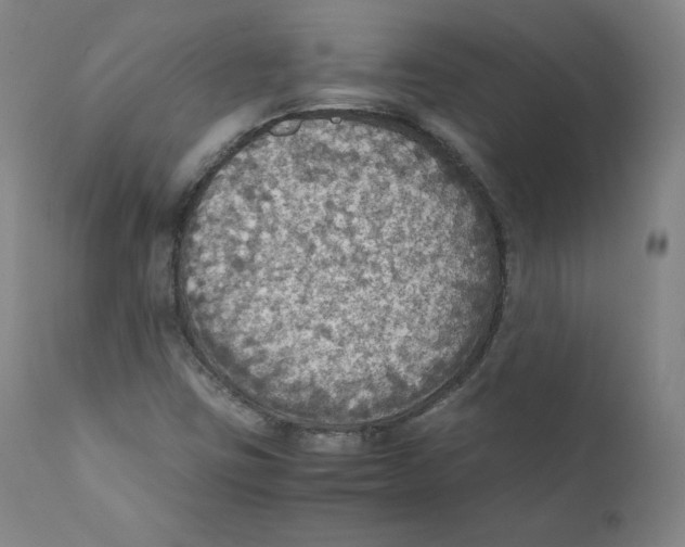 X0000110711403200907101233