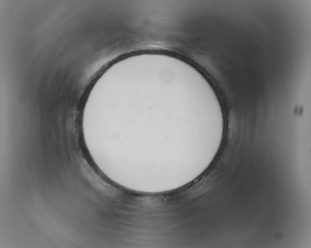 X0000110711404200907101233