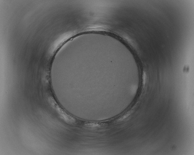 X0000110711405200907101233