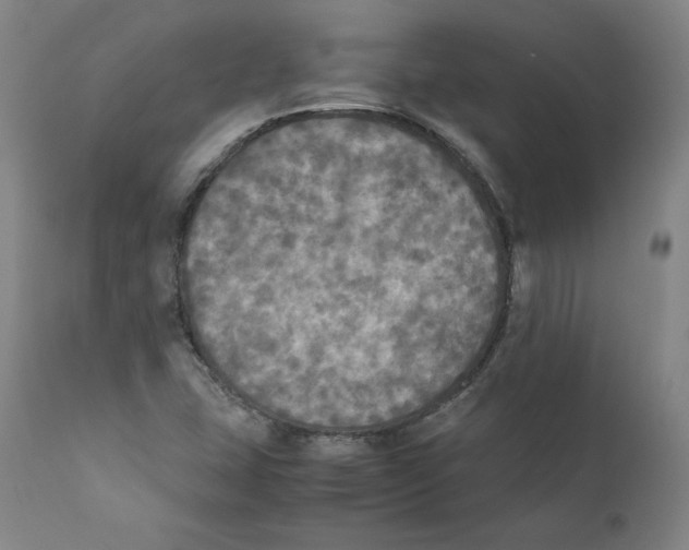 X0000110711407200907101233