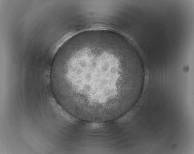 X0000110711409200907101233